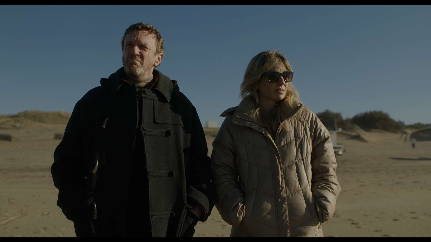 Un León en el bosque