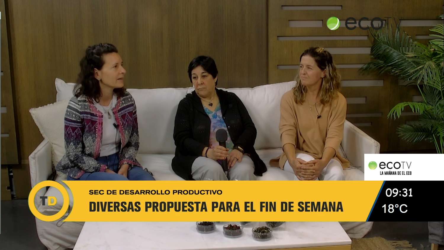 Diversas propuestas para el fin de semana