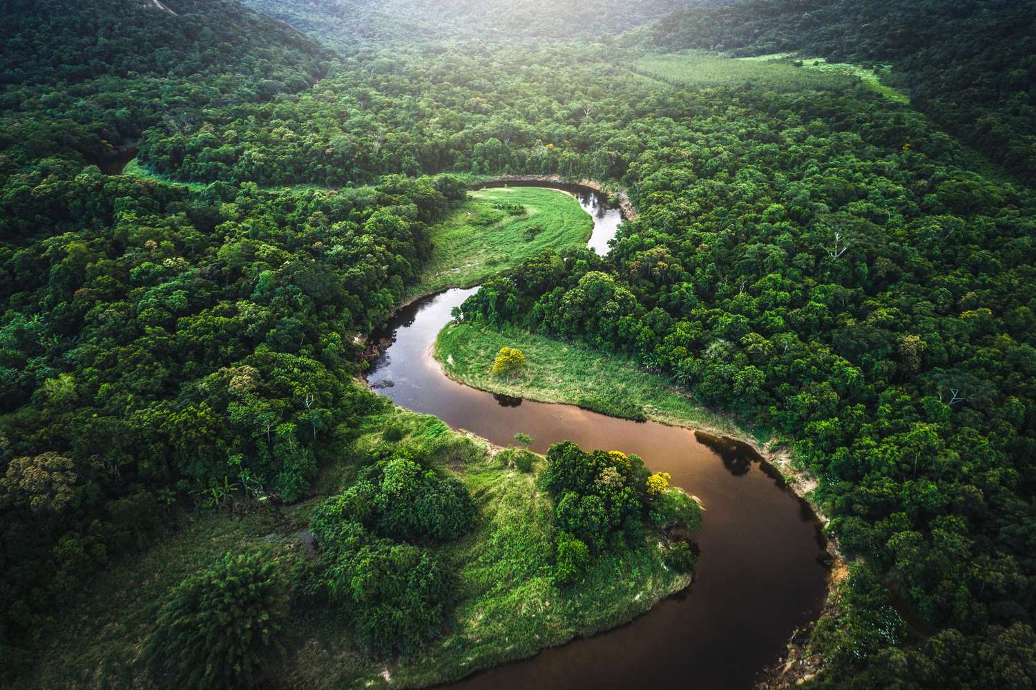 América Latina, la más biodiversa y, paradójicamente, la más vulnerable ante el cambio climático