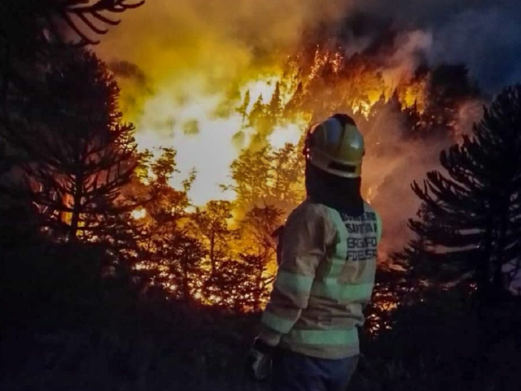 La Era del Piroceno, cómo el fuego está alterando el equilibrio del planeta de manera irreversible