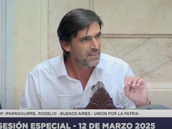 Diputados: Iparraguirre destacó el rol de la obra pública en la sesión por Bahía Blanca