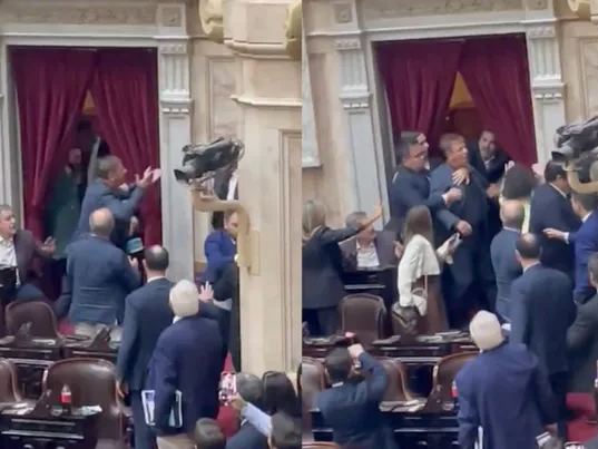 Escándalo en el Congreso: Pelea entre legisladores de La Libertad Avanza por el caso $LIBRA