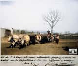Una foto de Santamarina a Thays, en 1905, desde Tandil