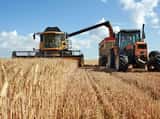 La cosecha de trigo 2024/25 fue de 18,6 millones de toneladas