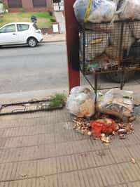 Recolección selectiva