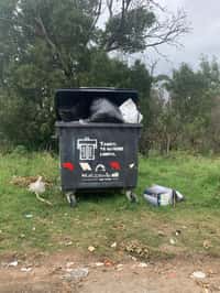 Contenedores repletos en el barrio Golf