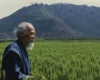 Masanobu Fukuoka, el japonés que escuchó a la tierra y sembró la revolución del suelo