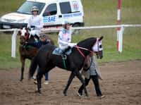 Denuncian a la Provincia por desviar fondos destinados a la actividad hípica