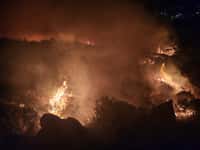 Al menos cinco viviendas estuvieron en riesgo por el incendio