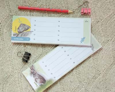 LAGOM: papelería con un toque bien tandilero