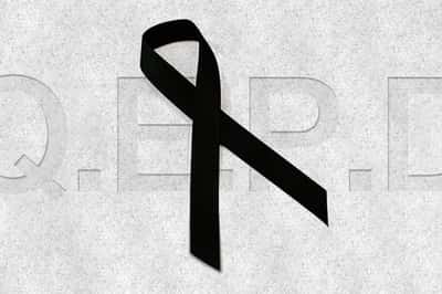 Sábado 1 de febrero de 2025