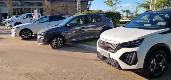 El cierre del año para Stellantis, con la mirada en el 2025