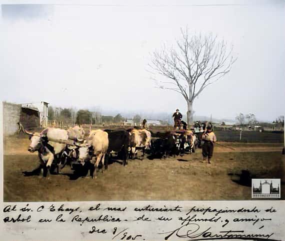 Una foto de Santamarina a Thays, en 1905, desde Tandil