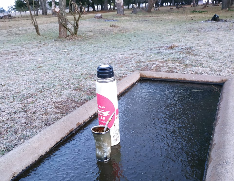 Un bebedero de caballos congelado, improvisada mesa de mate en un campo  tandilense