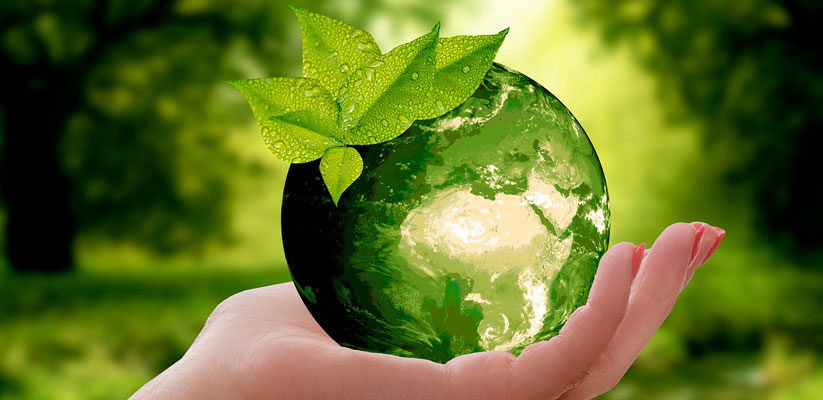 Día Mundial del Medio Ambiente ViamoTutti