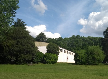 instituto3