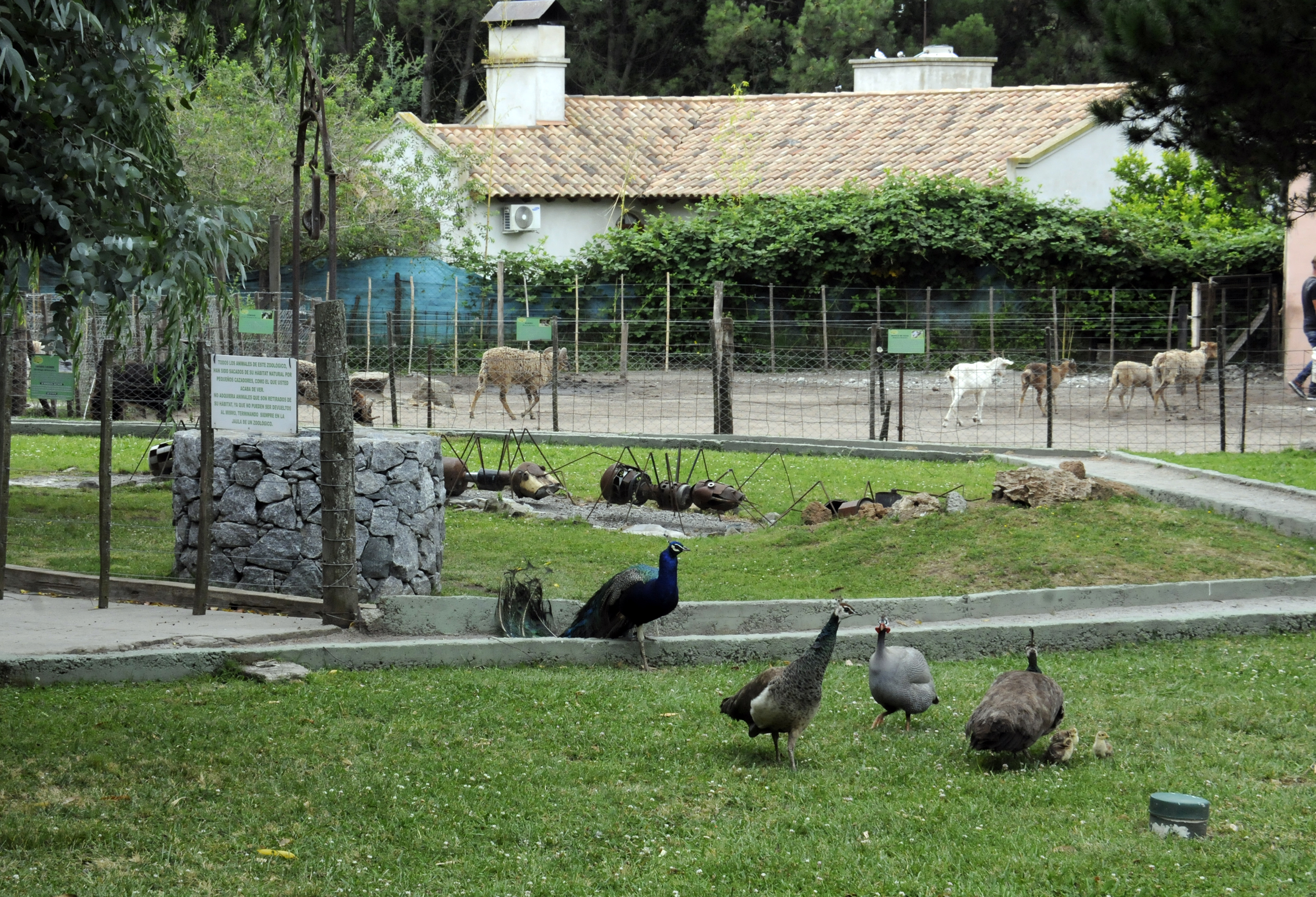 Granja Los Pibes funcionará como delegación de Flora y Fauna para el