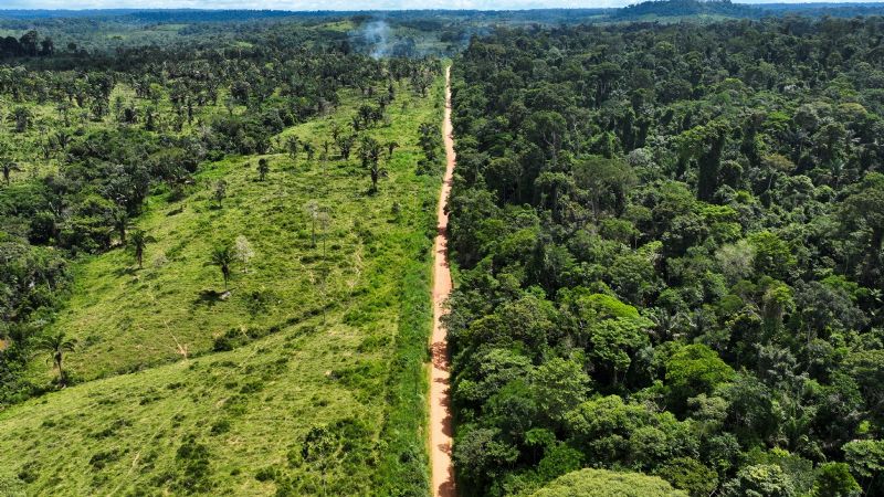 La Deforestación En La Amazonia Brasileña Alcanzó Otro Récord El Eco 