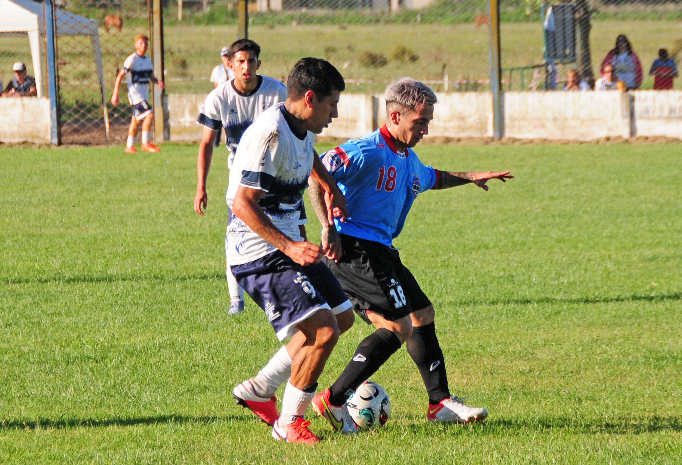 Loma Negra y Gimnasia se ponen al día en el San Martín El Eco