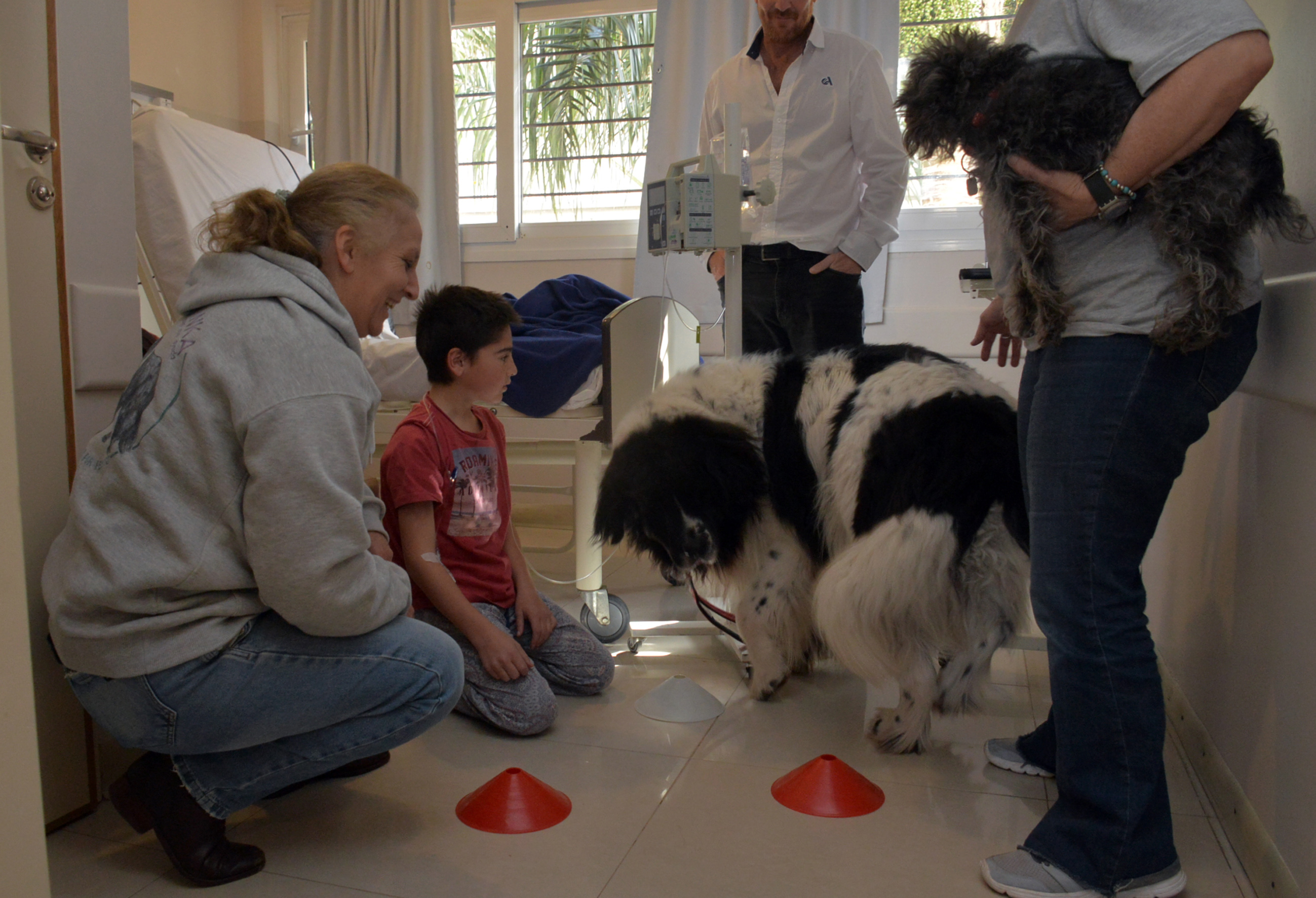 Terapia Asistida Con Perros, Una Experiencia Que Multiplica Beneficios ...