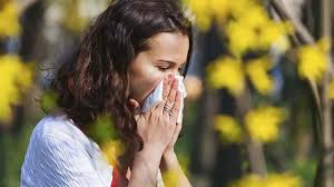 Falta de energía, alergias respiratorias, digestión lenta y pesadez, malestares típicos de primavera,