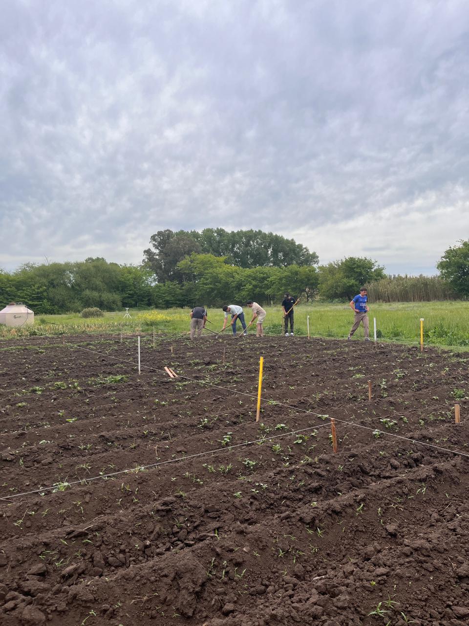 Papas al rescate: producción agroecológica de uno de los cultivos más consumidos por los argentinos