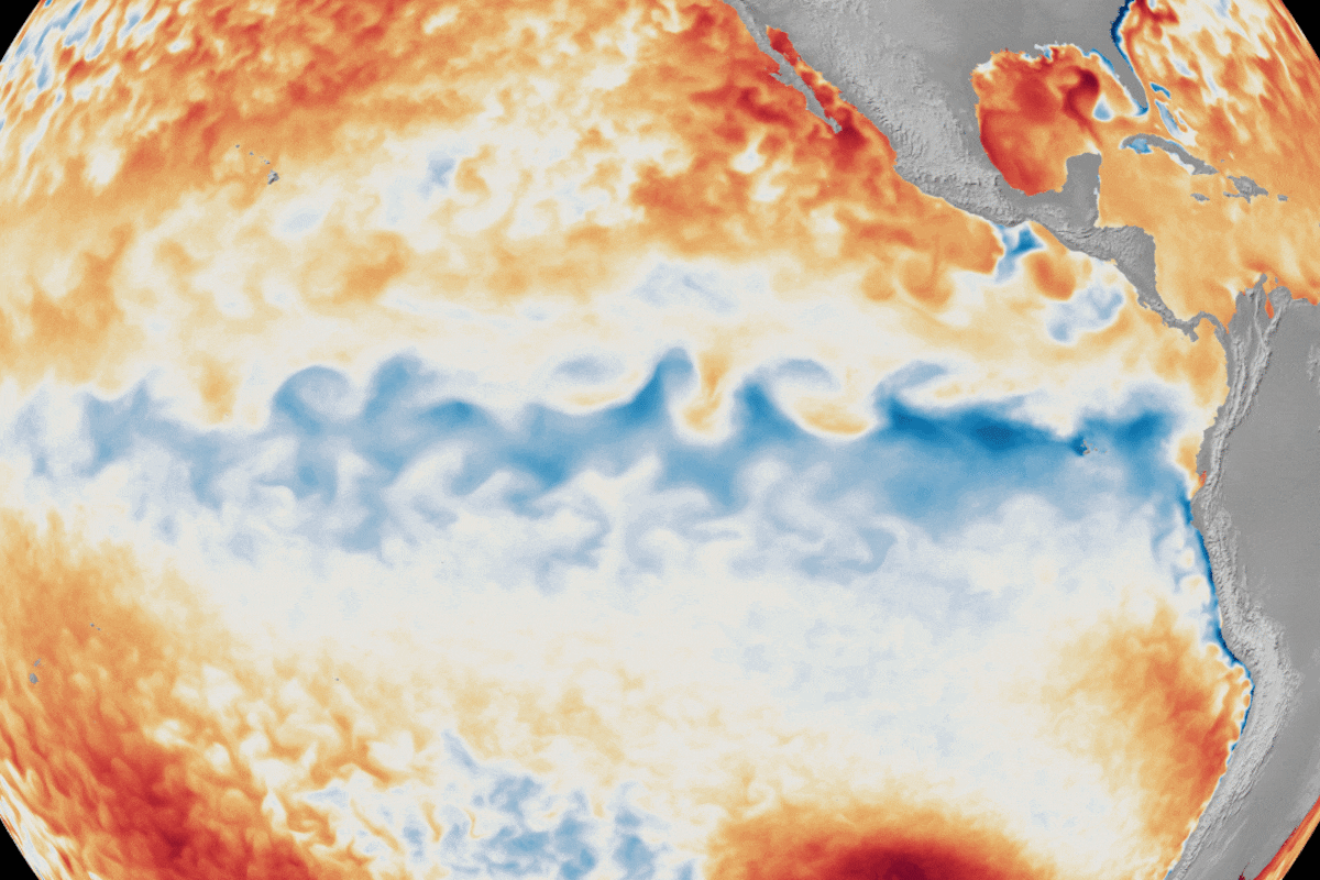 En la Argentina, los efectos varían según la zona: en el Litoral, la Cuenca del Plata y gran parte del centro del país, se espera un aumento en las probabilidades de lluvias, elevando el riesgo de crecidas e inundaciones.